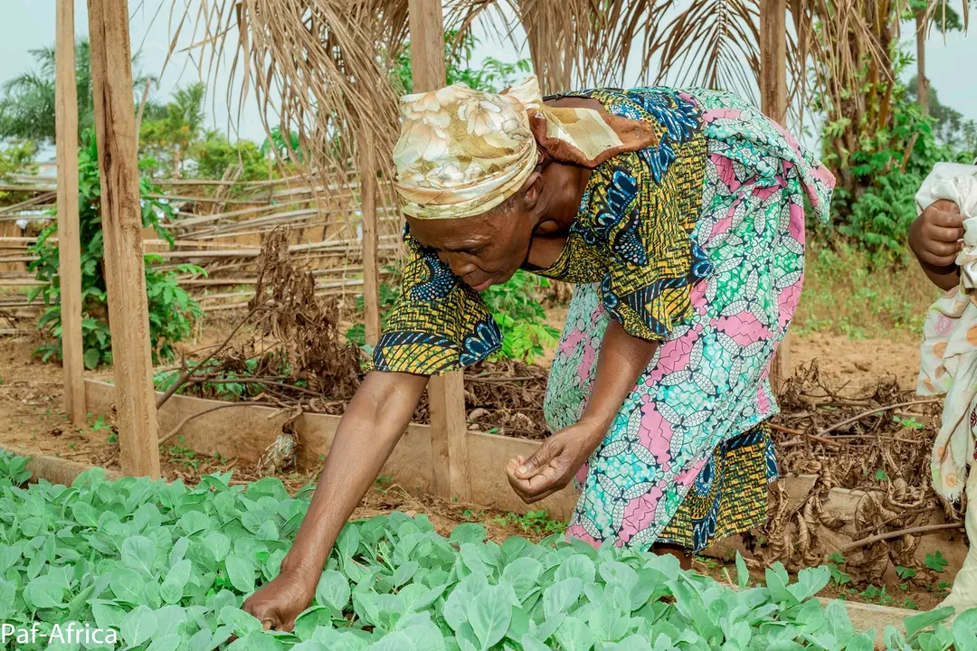 Nutrition, food security and environment